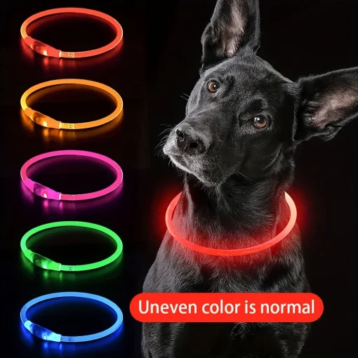 Coleira de Cão com Luz LED e Antirroubo Recarregável via USB