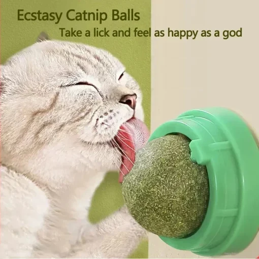 Raspadeira de Catnip Natural para arranhões de gato