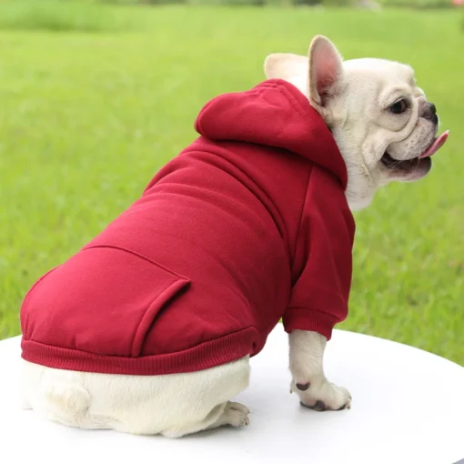 Roupa de moda para cães, outono e inverno